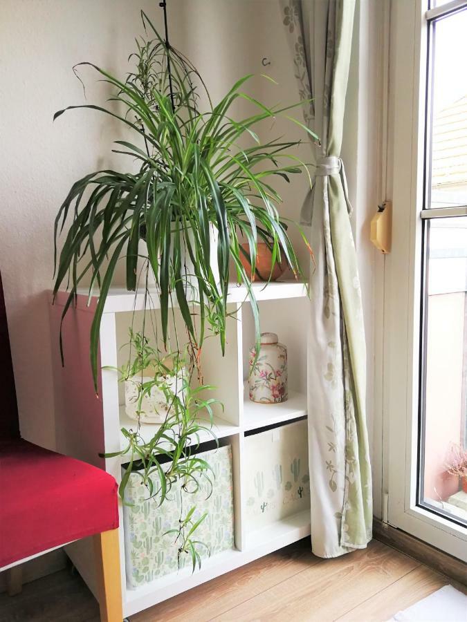 Quiet City-Apt, 4Min City-Center, 18Min Fair Nuernberg!!! Bagian luar foto
